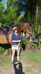 horse agistment boarding paddocks townsville